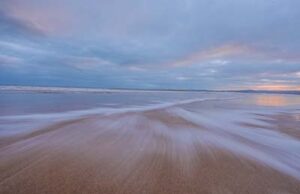 Nature photography in Budleigh Salterton