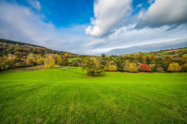 Family photographer in Sidmouth